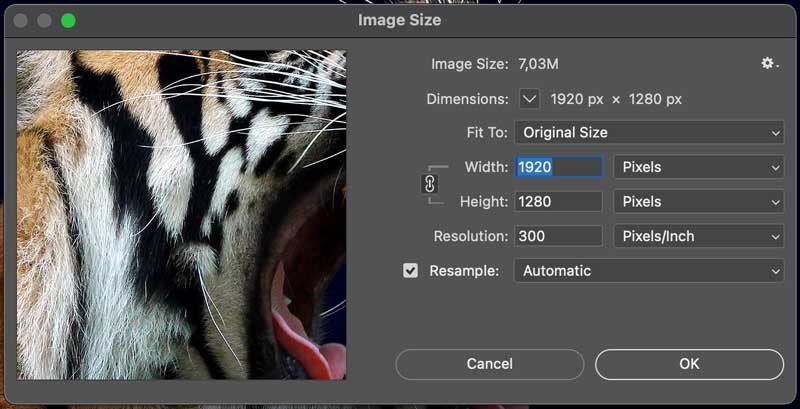 Ventana dimensione imagenes de Photoshop que muestra los 1920px y los 300 dpi